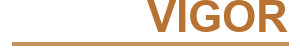 Holy Vigor logo